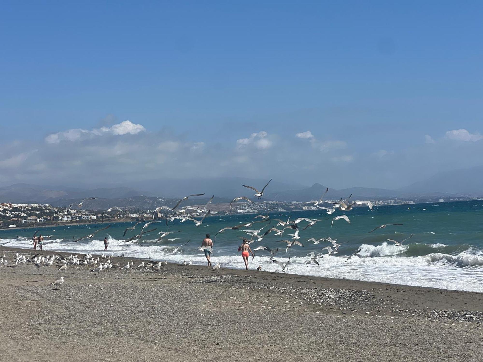 Puerto De La Duquesa Appartement Manilva Buitenkant foto